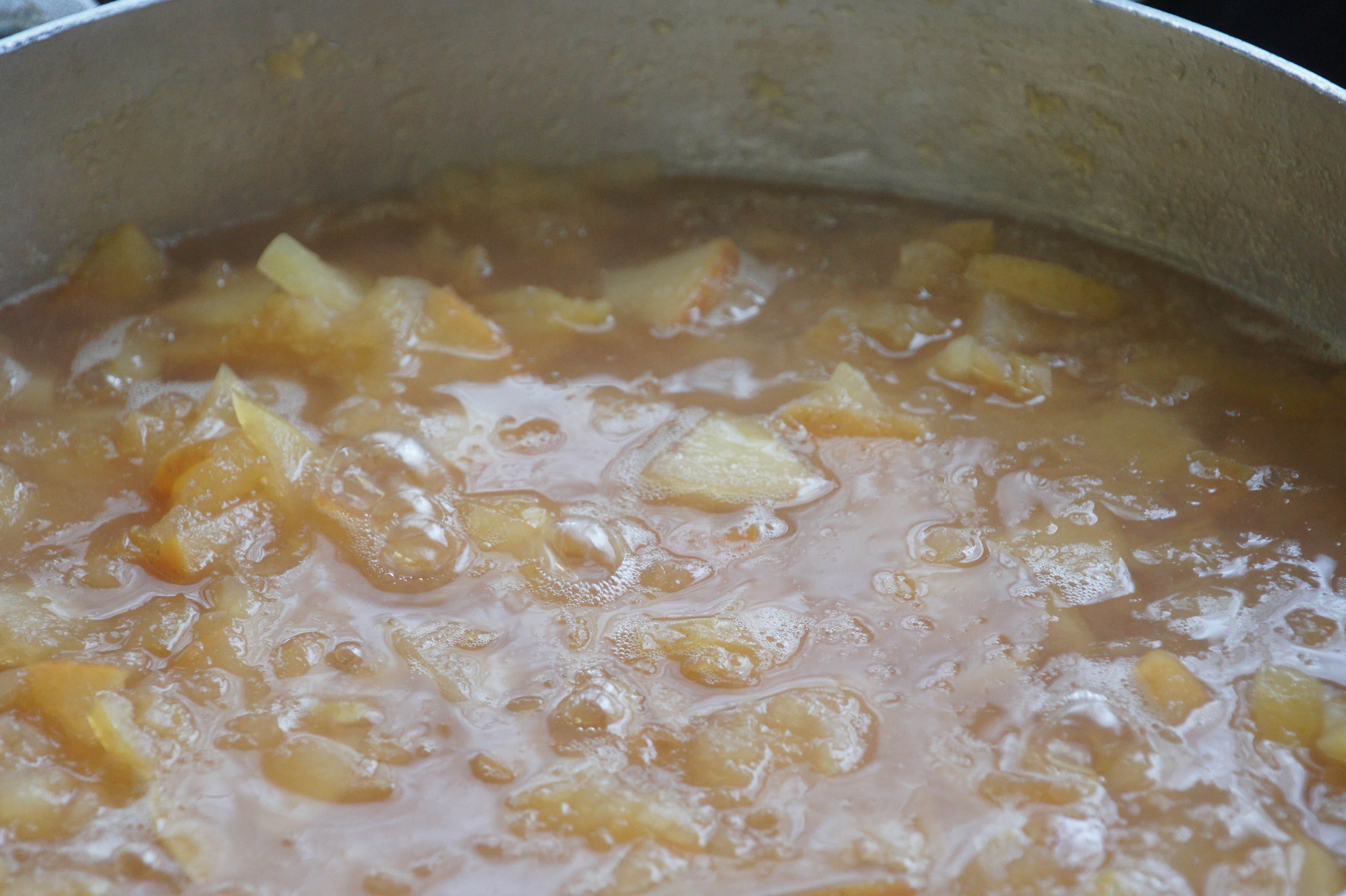 ファイル 15-1.jpg