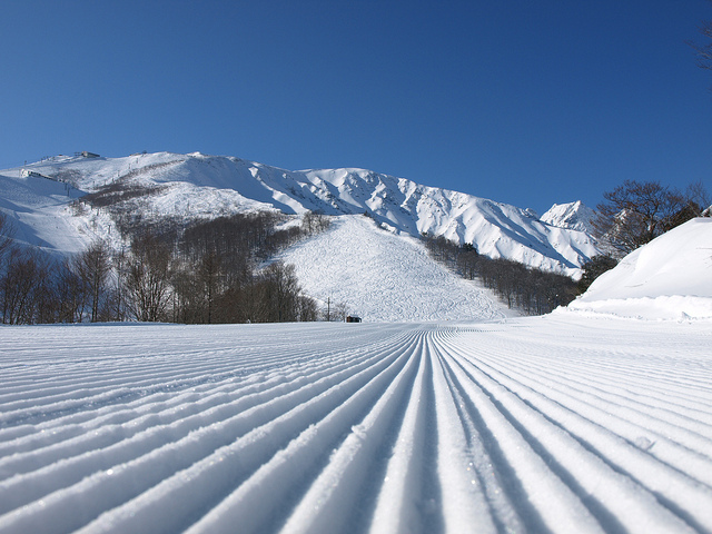 ファイル 17-1.jpg