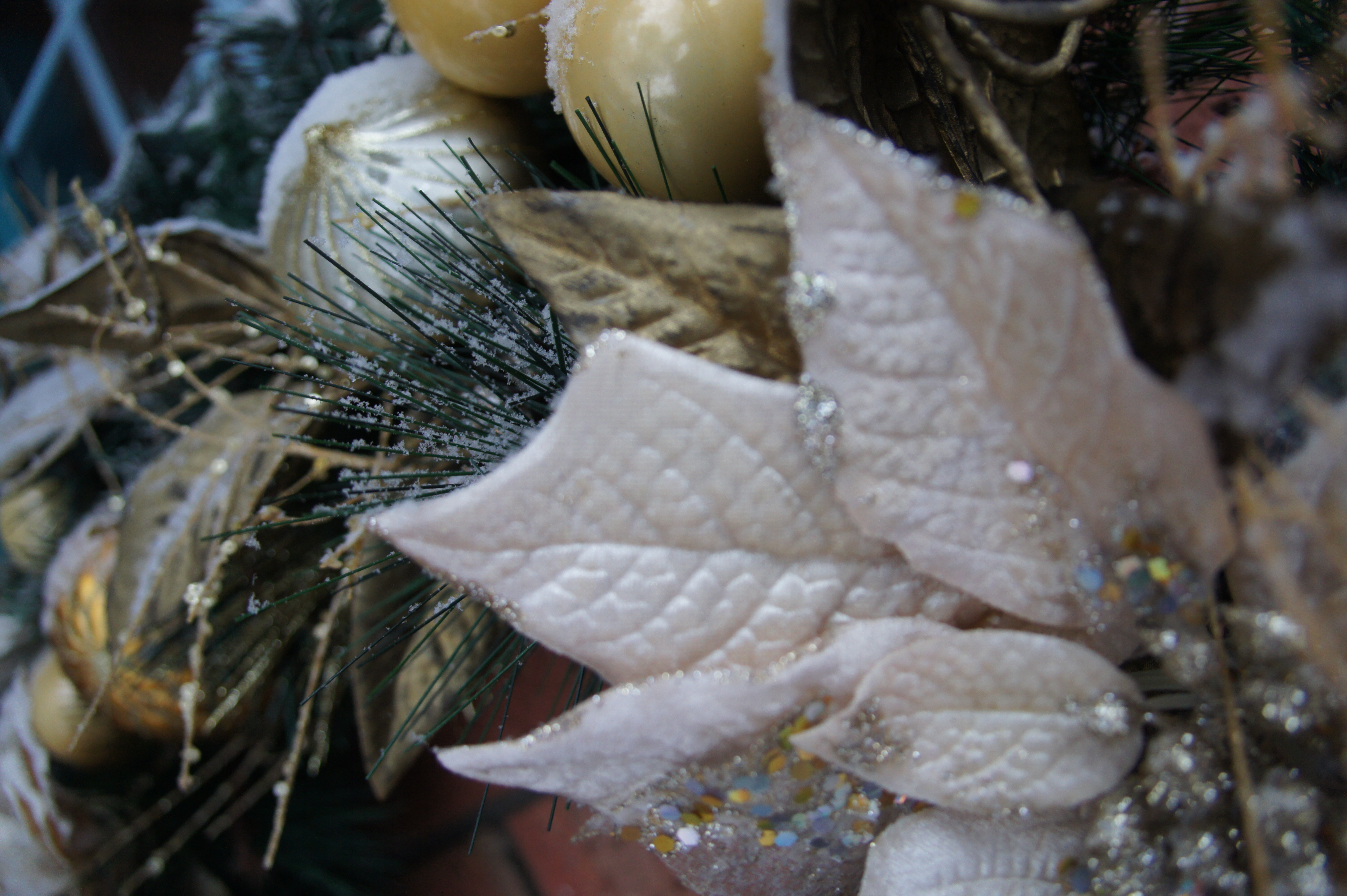 ファイル 19-1.jpg