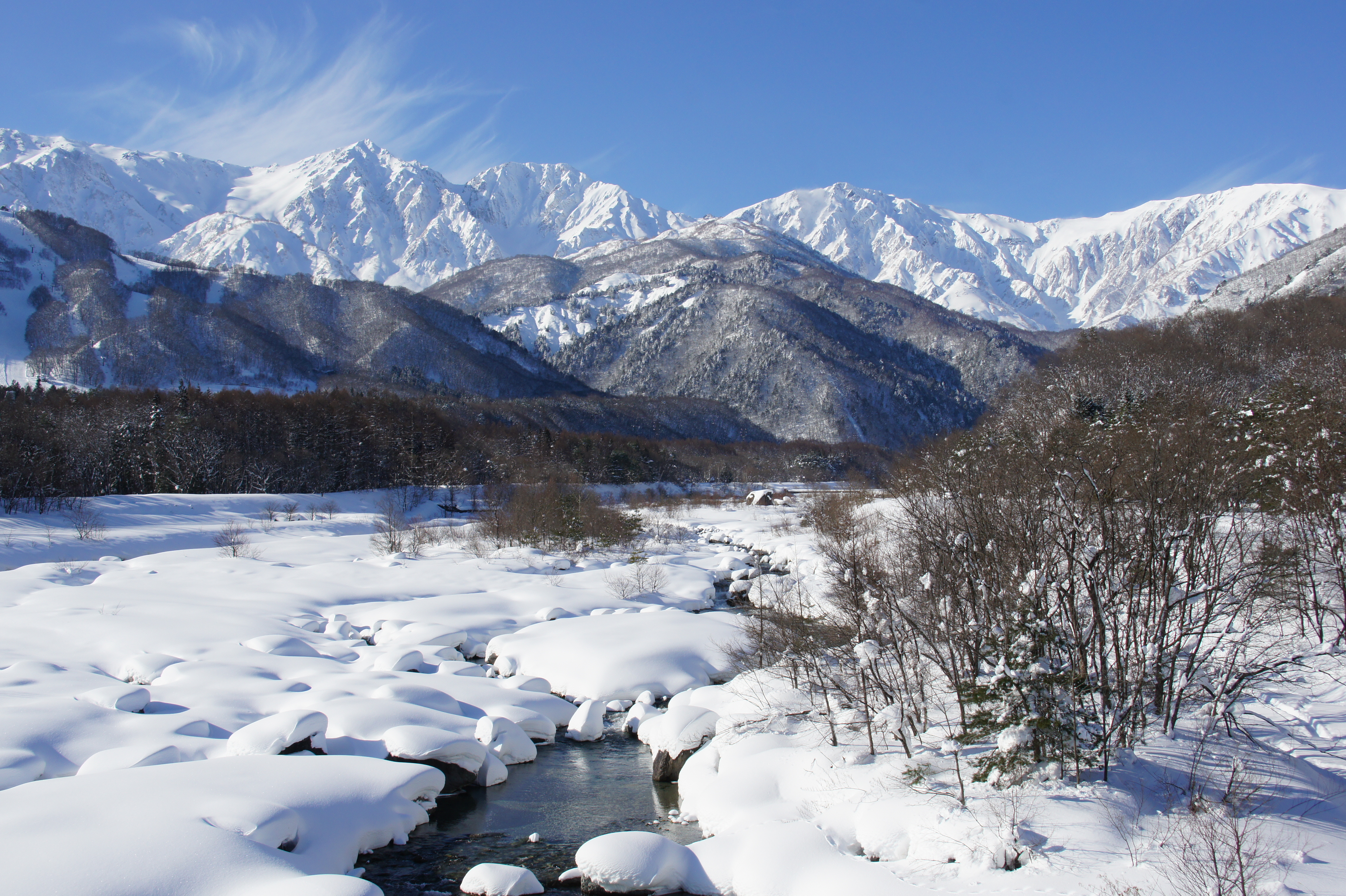 ファイル 21-1.jpg