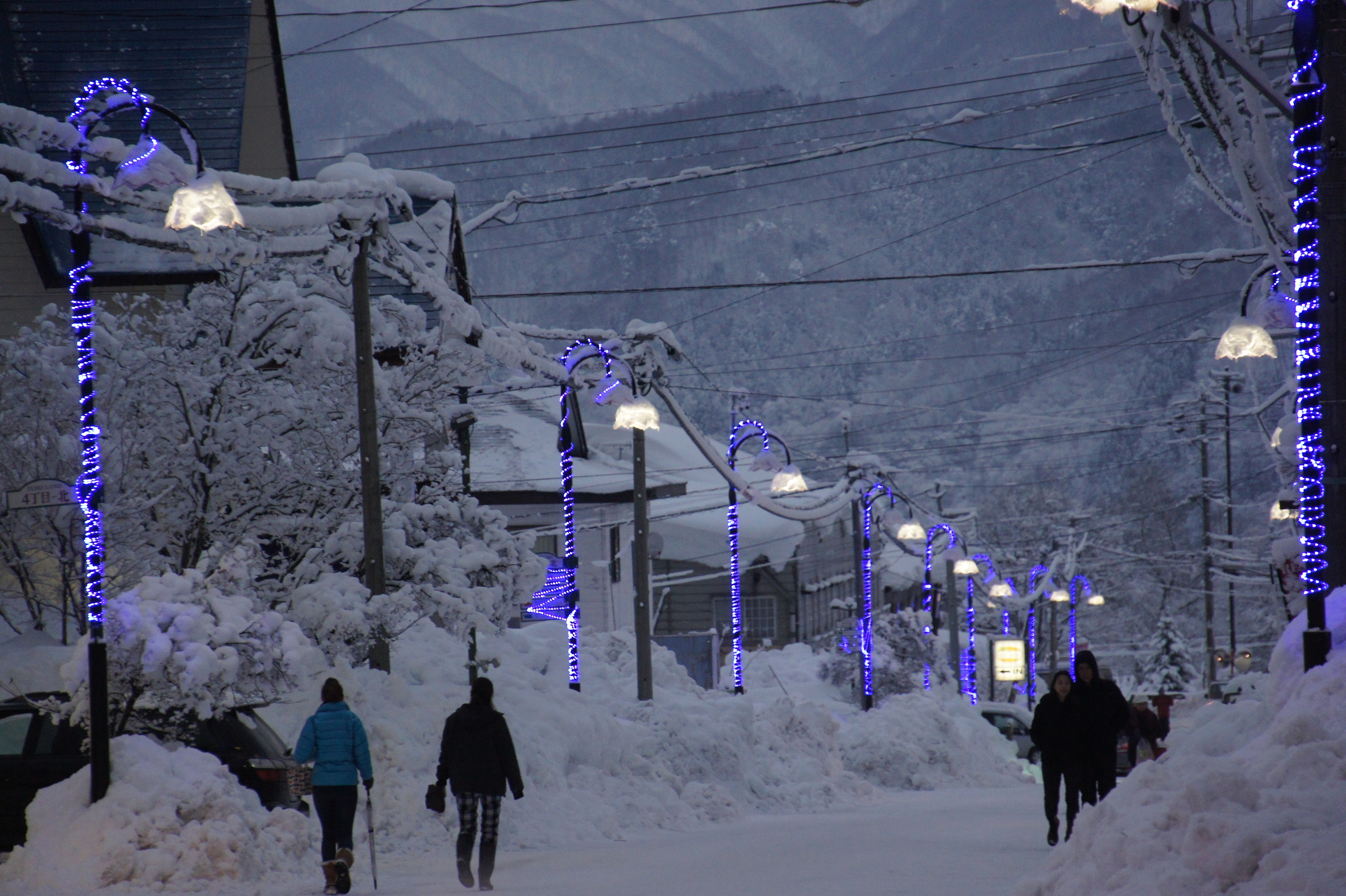 ファイル 24-1.jpg