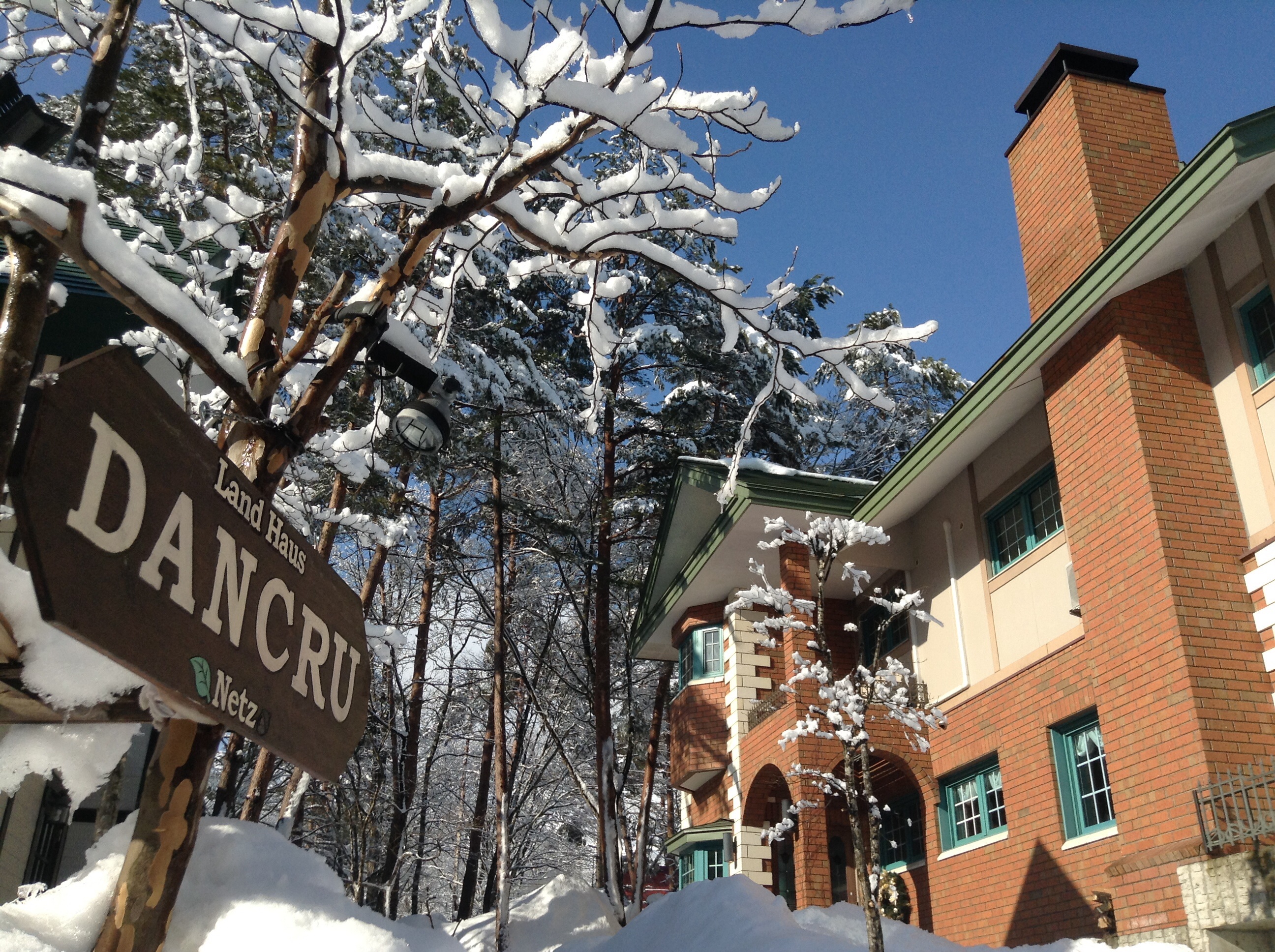 ファイル 27-1.jpg