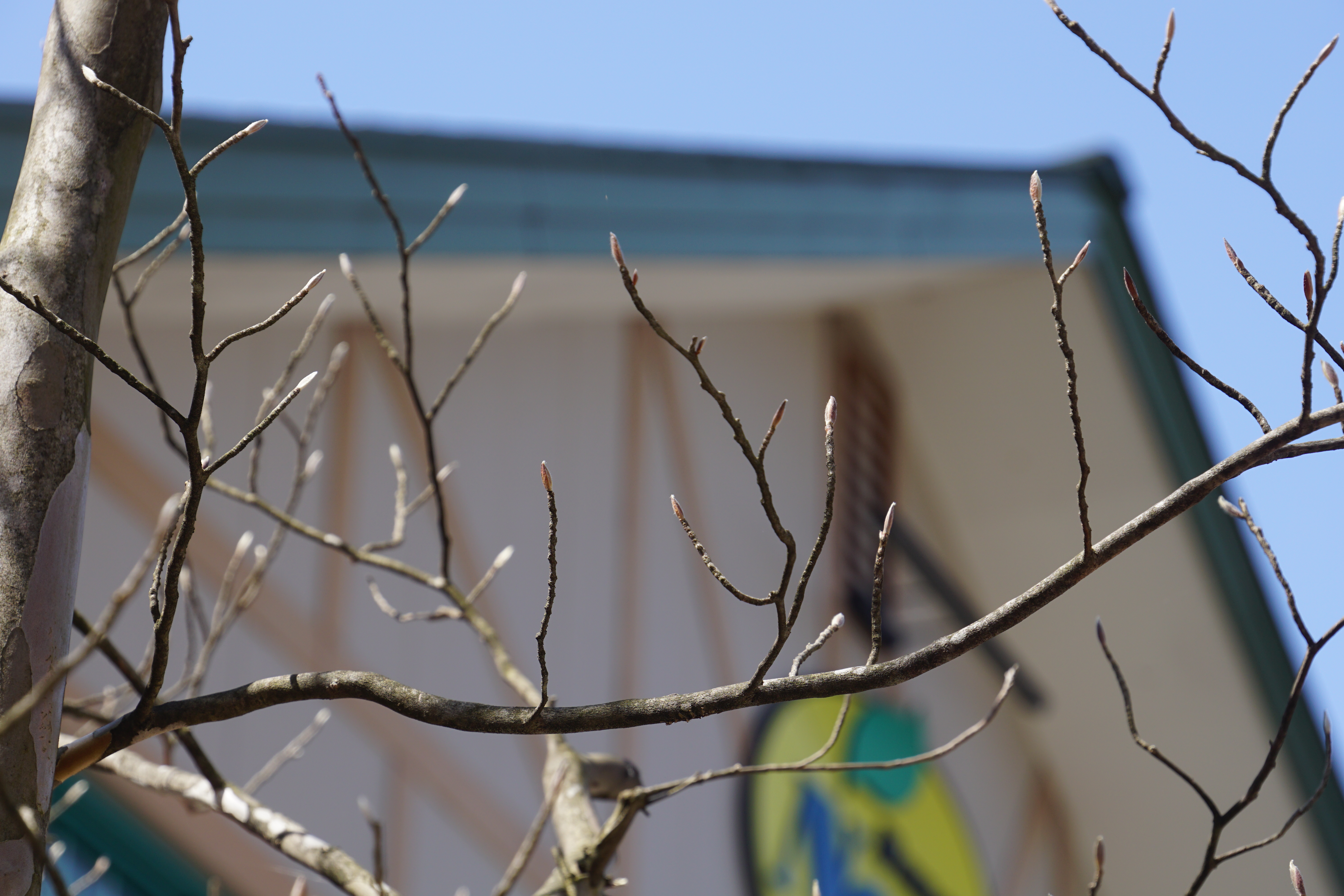 ファイル 37-1.jpg