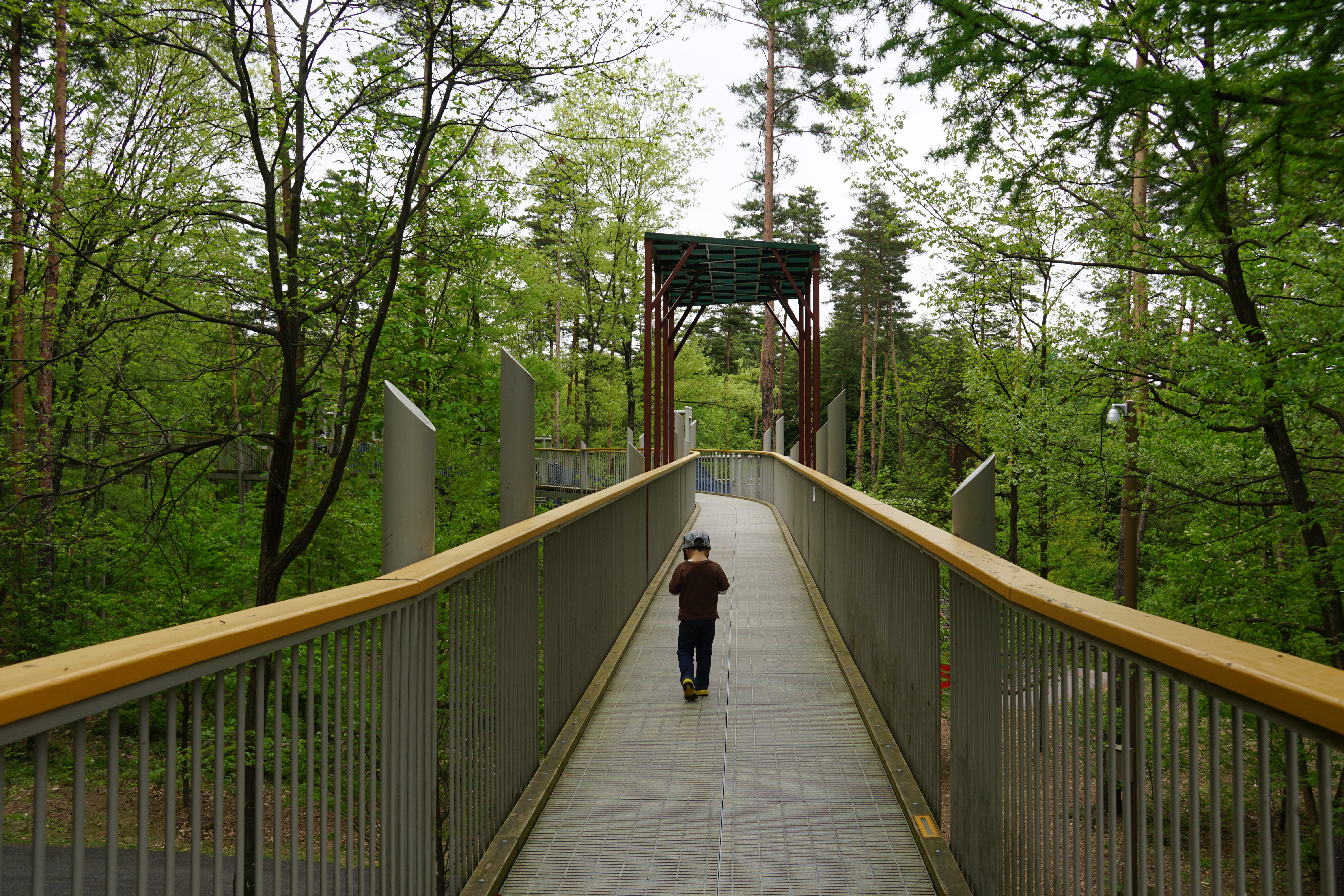 ファイル 40-1.jpg