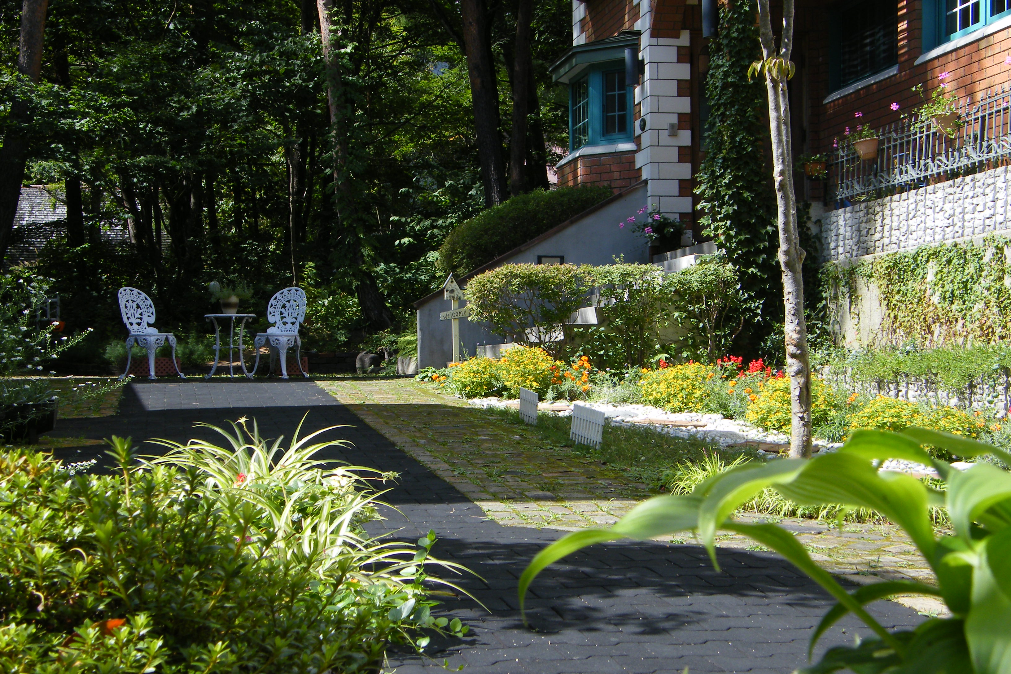 ファイル 47-1.jpg