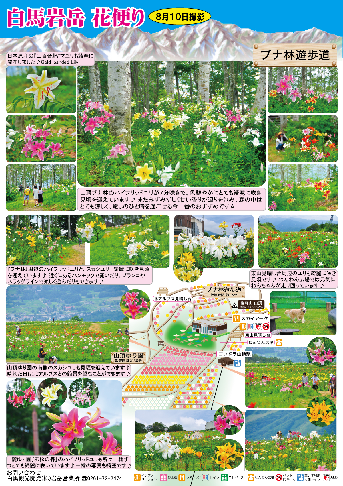 ファイル 49-1.jpg