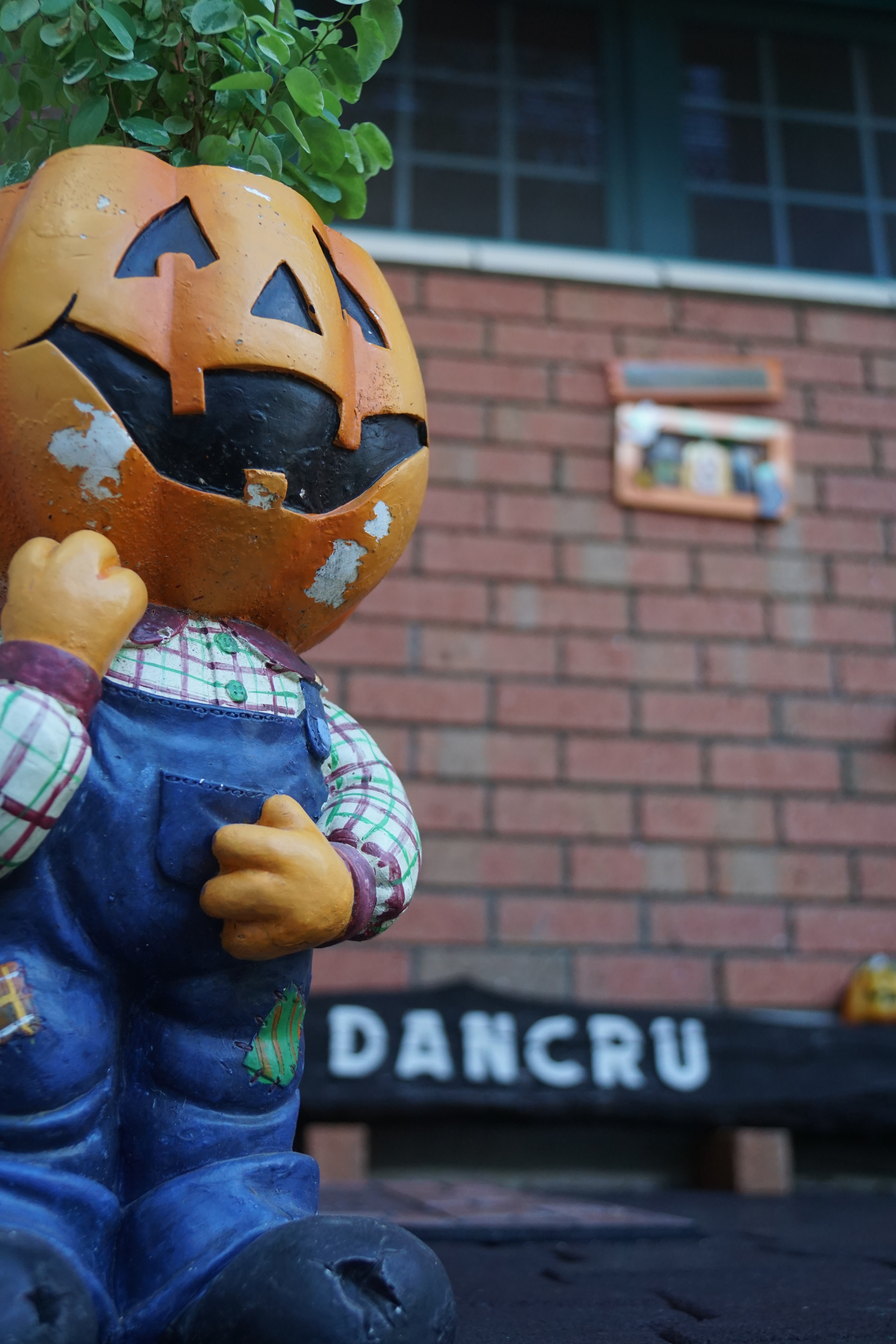 ファイル 51-1.jpg