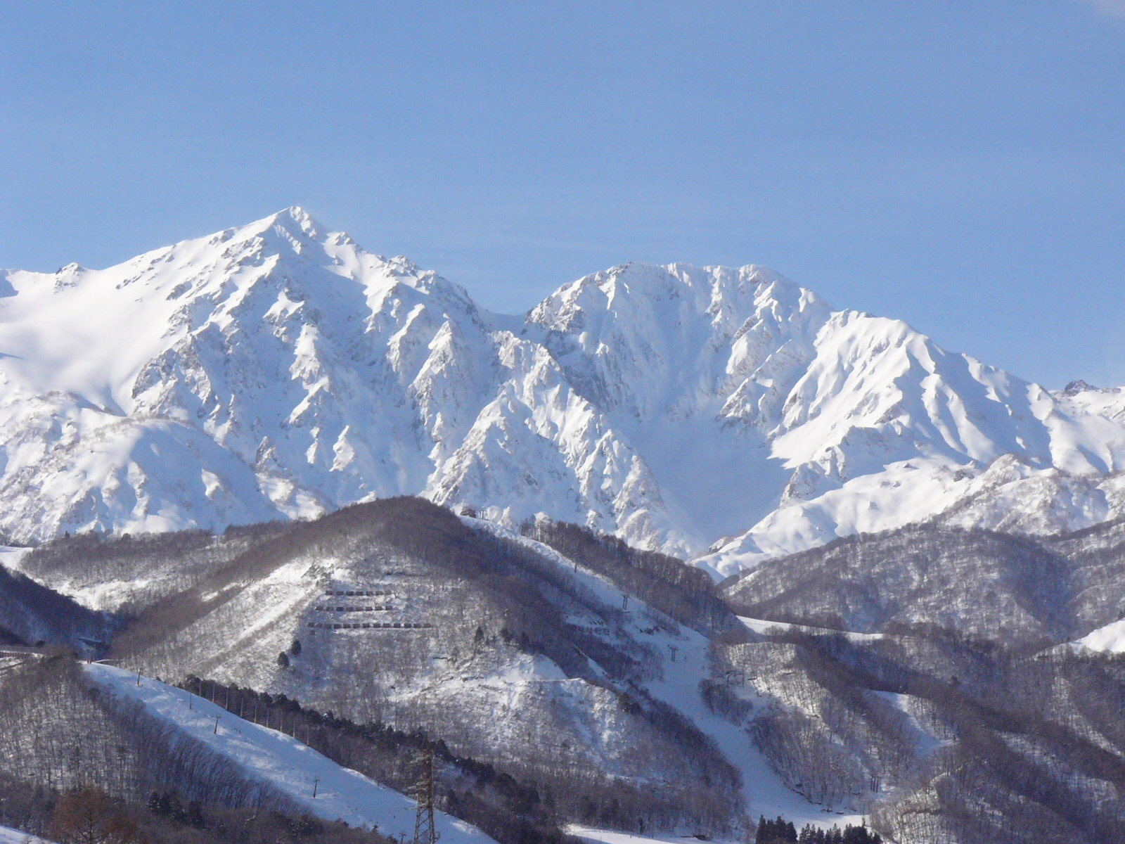 ファイル 58-1.jpg