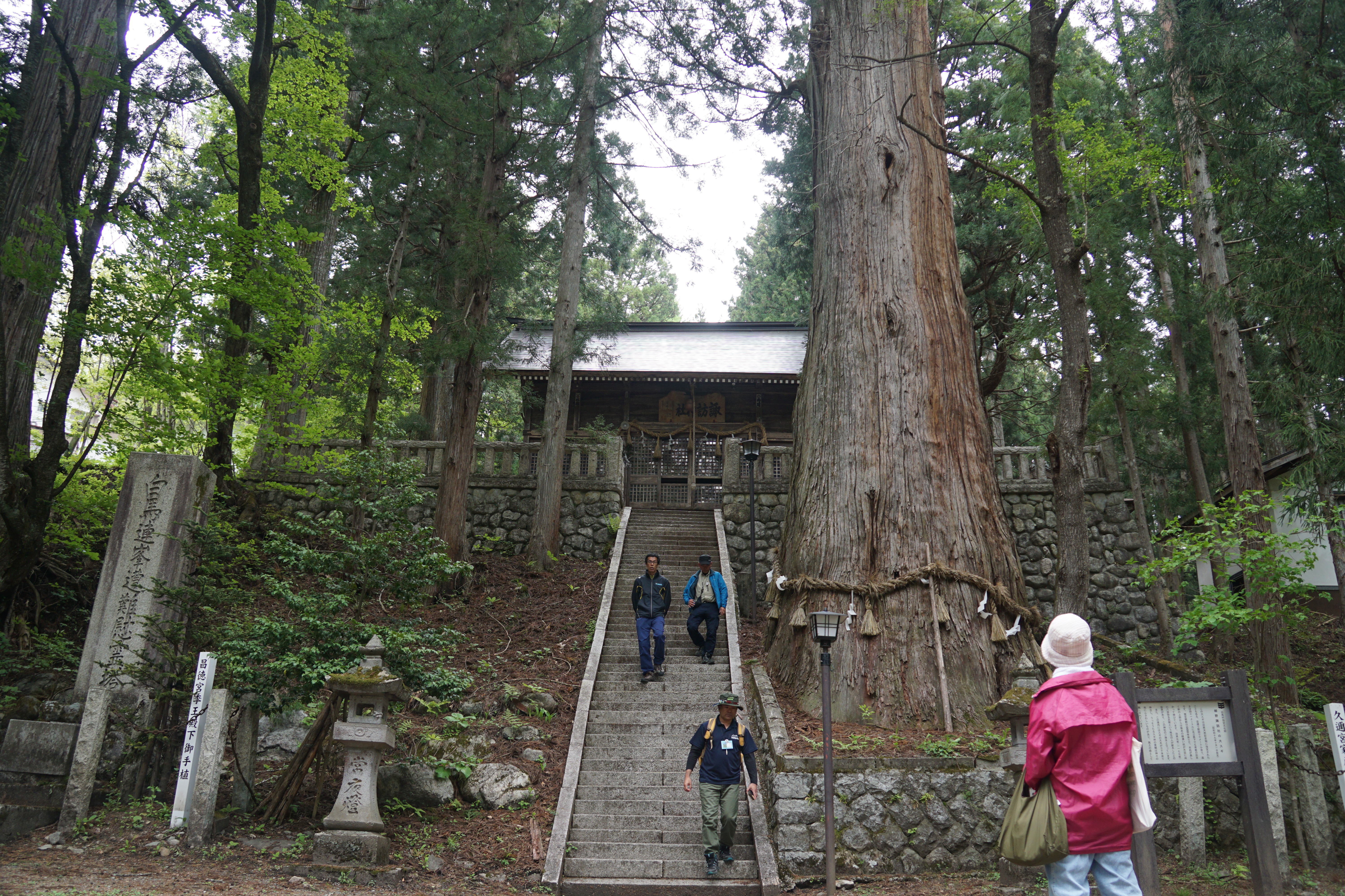 ファイル 64-1.jpg