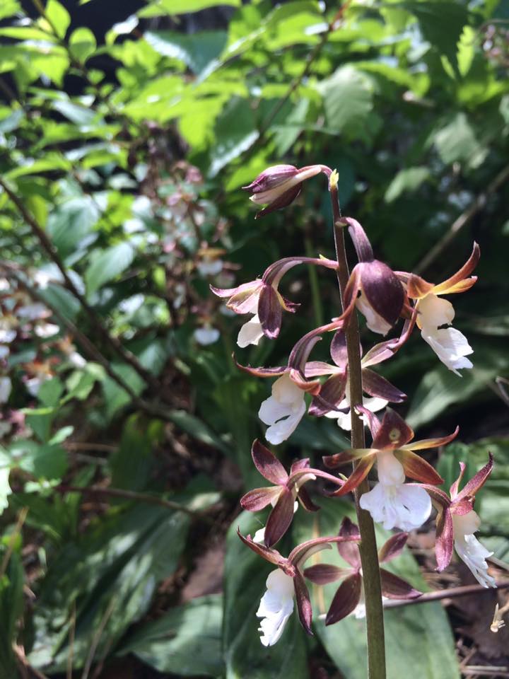 ファイル 65-1.jpg