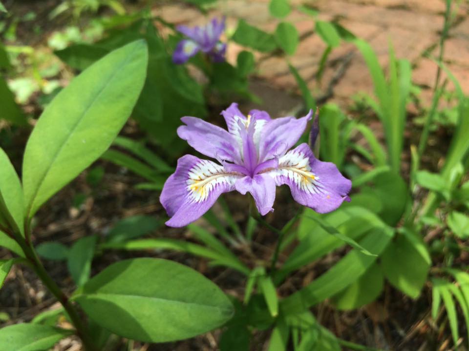 ファイル 65-2.jpg