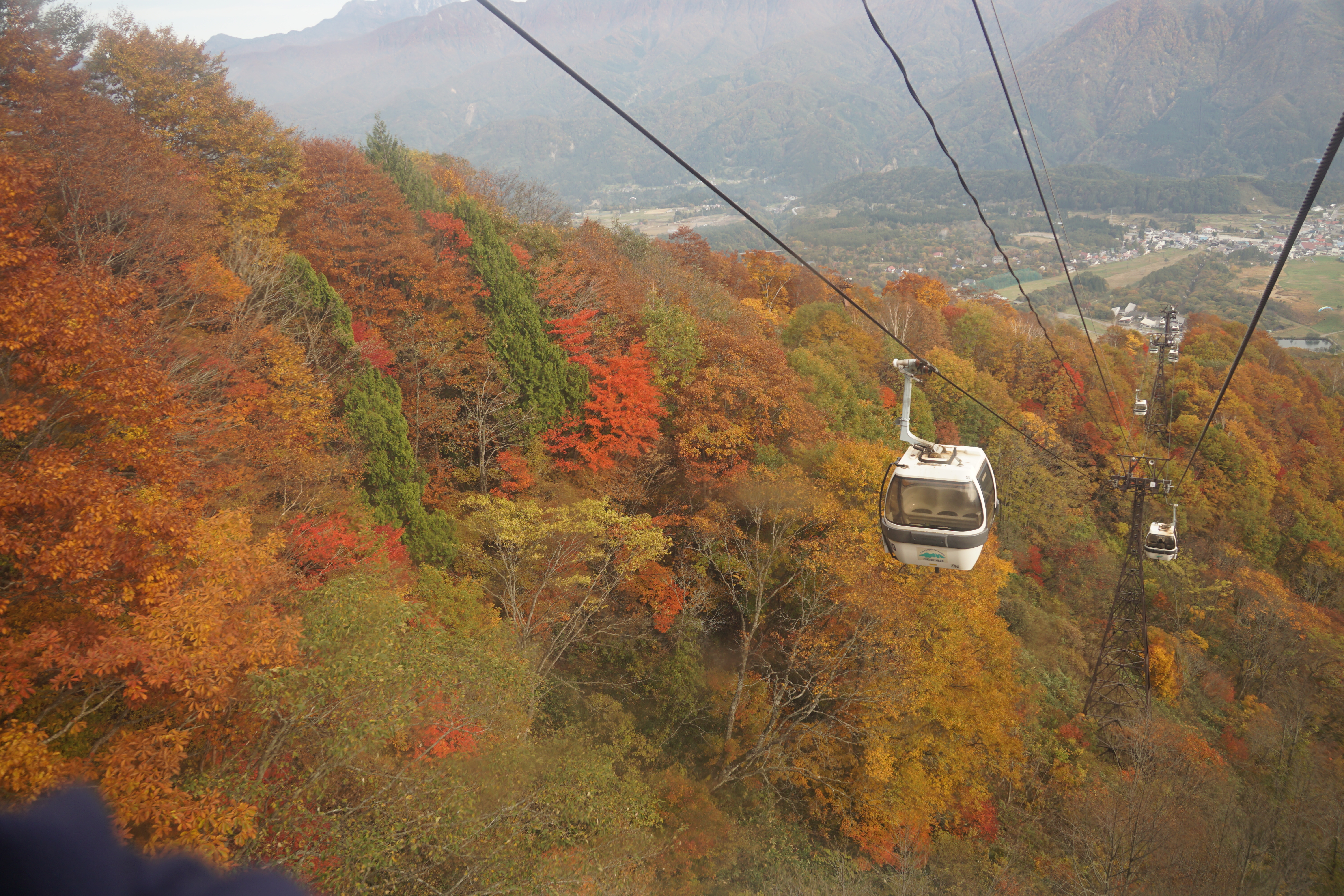 ファイル 75-1.jpg