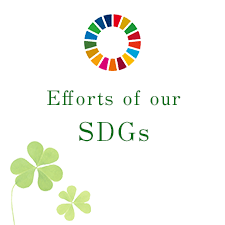 Efforts of our SDGs